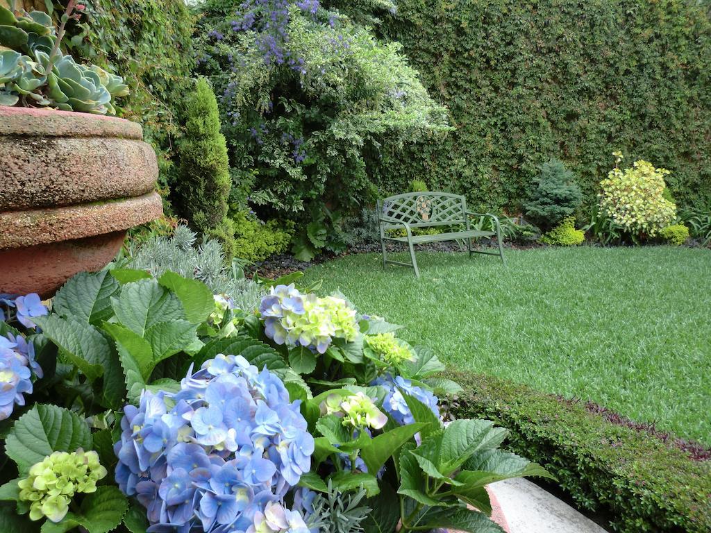 גואטמלה Hostal Villa Toscana מראה חיצוני תמונה